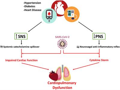 Potential Role of Autonomic Dysfunction in Covid-19 Morbidity and Mortality